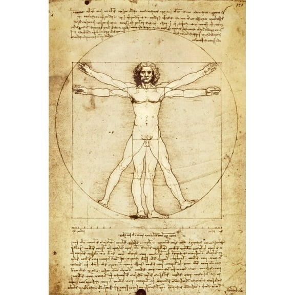 Da Vinci Vitruvian Man poster Poster (24 x 36)