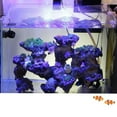 thumbnail image 3 of Adjustable Anti-jumping Net Cuttable Fish Tank Anti Escape Net Cover Marine Accessories For Fish Tank Aquarium, 3 of 8