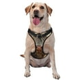 thumbnail image 1 of Kdxio Adorable Flower Field Cow Print No Pull Dog Harness Adjustable Reflective Oxford Easy Control Medium Large Dog Harness for Training and Everyday-Large, 1 of 6