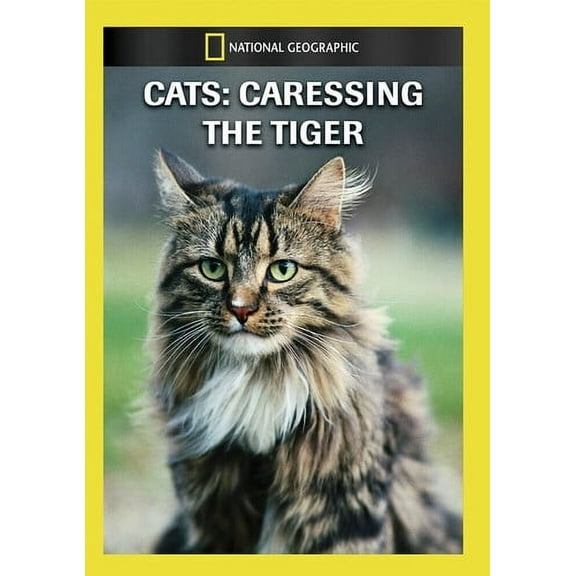 Cats: Caressing the Tiger (DVD), National Geographic, Documentary