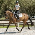 thumbnail image 5 of Equinavia Maud Womens Mid Rise Silicone Knee Patch Breeches, 5 of 8