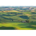 thumbnail image 2 of Paulson, Don 14x11 White Modern Wood Framed Museum Art Print Titled - WA, Palouse Hills Farmland from Steptoe Butte, 2 of 4