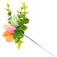 thumbnail image 1 of Shisuyan Accessoire Photo Multi Lot de 1 8.7 Po, 1 of 9