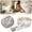 B, variant on Molding Trim Self-Adhesive 3D Foam Wall Border Trim Embossed Decorative Peel and Stick Molding Tape Flexible Wallpaper Border for Baseboards Ceilings Home DIY 32.81Ft x 3.15 inch