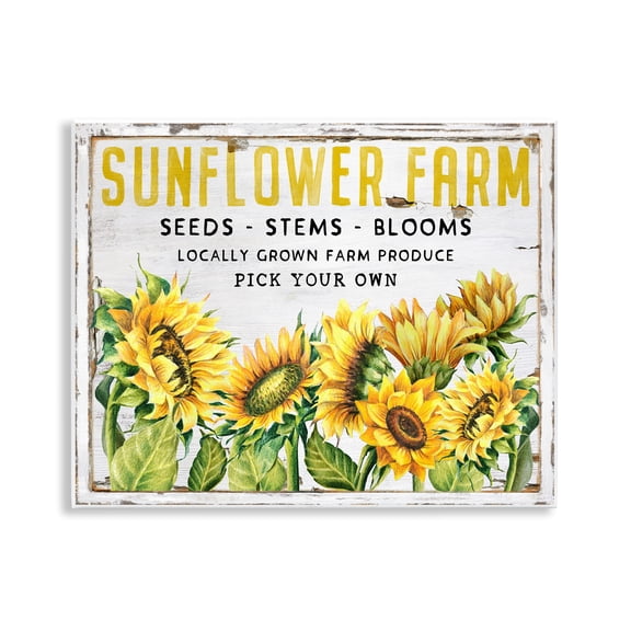 Stupell Industries Antique Sunflower Seeds Plants & Flowers Painting Unframed Art Print Wall Art, 14 x 11