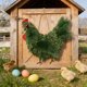 thumbnail image 5 of Corona con forma de gallina para decoración colgante de puerta principal en primavera y Pascua | Corona de flores de follaje de plástico para ventana, pared o chimenea, 5 of 8
