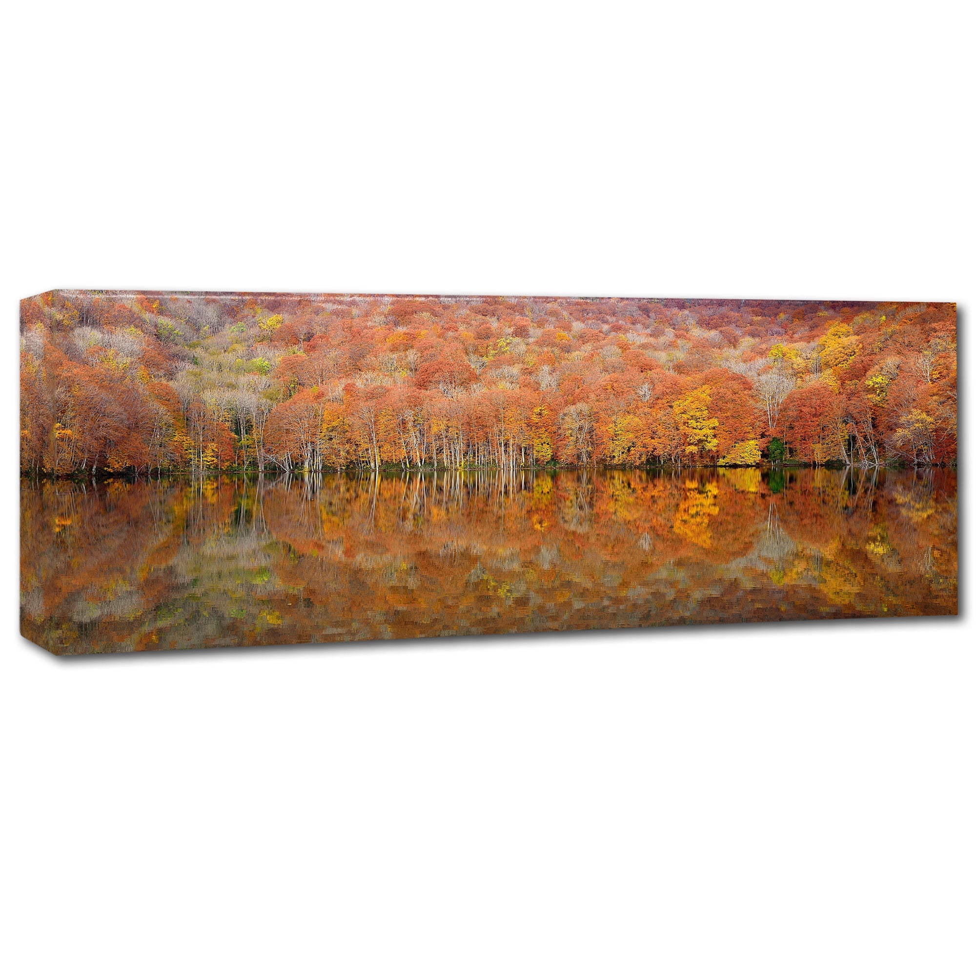 Sho Shibata 'Glowing Autumn' Canvas Art