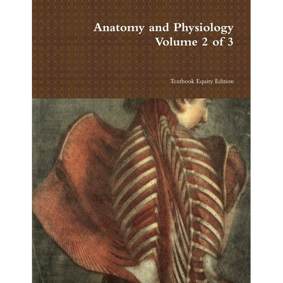 Anatomy and Physiology Volume 2 of 3, (Paperback)