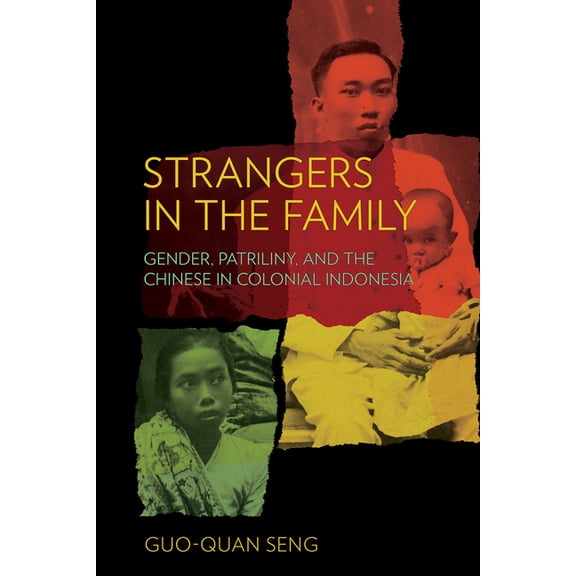 Strangers in the Family: Gender, Patriliny, and the Chinese in Colonial Indonesia, (Paperback)