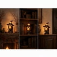 thumbnail image 7 of Sruoe Halloween Witch Owl Acrylic 2D Night Light Owl Table Lamp Vintage Fall Decor LED Desk Lamp for Home Bedroom Holiday Ornament, 7 of 7