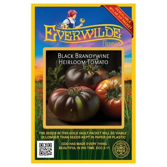 Everwilde Farms - 50 Black Brandywine Heirloom Tomato Seeds - Gold Vault Seed Packet