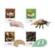 thumbnail image 2 of Figuras del ciclo de vida, juguetes, biología, ciencia, educativo, figuras del ciclo de crecimiento animal Abeja, 2 of 9