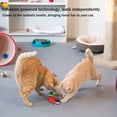 thumbnail image 4 of Juguete eléctrico para gatos con forma de escarabajo, mini juguete interactivo para gatos que emociona y atrae a los gatos, acurrucándose, persiguiendo, escarabajo realista, vibrante, 4 of 5
