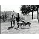 thumbnail image 1 of Cuadro Decorativo - Caballos y Sabuesos Vintage, 1 of 3