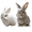2PCS - D(Gray White), variant on Bunby - My Realistic Bunny Toy, Interactive Bunny Toys - Jumping, Twitching, And Lighting Ears, Bunny Realistic Bunny Toy, Bundy Realistic Bunny