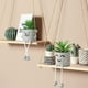 thumbnail image 2 of Planta en maceta artificial Linda decoración de plantas suculentas falsas BANYUO Electrónica, 2 of 5