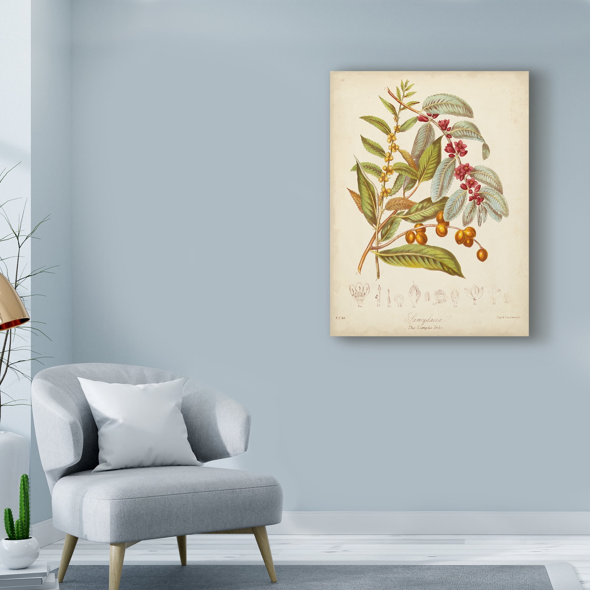 Trademark Fine Art 'Twining Botanicals VIII' Canvas Art by Elizabeth Twining