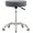 Grey, variant on Rolling Stool with Wheels, Heavy Duty Hydraulic Massage Stool for Shop Guitar Lab Tattoo Workbench Medical, Adjustable Swivel Chair