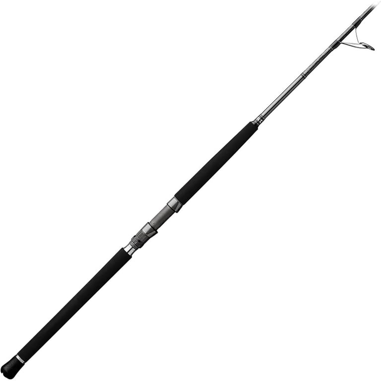 Daiwa Proteus Boat Fishing Rod - 70MFS - Walmart.com