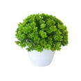 thumbnail image 1 of BKER Bonsai Desktop Decorative Arrangement With Low For Home (Green), 1 of 5