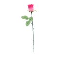 thumbnail image 3 of Way To Celebrate Valentine Red Single Rose, 3 of 5