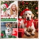thumbnail image 4 of Bandanas navideñas para perros Abbylike, 50 piezas, 4 of 7