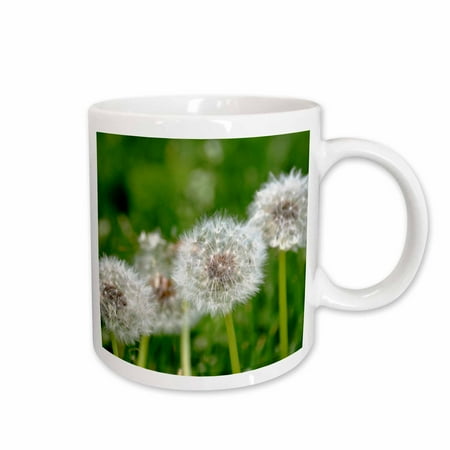 

3dRose Wishing Flowers - Dandelions - Floral Photography Ceramic Mug 11-ounce