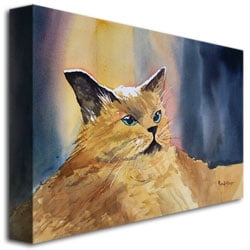 Trademark Art "Fat Cat" Canvas Art by Ryan Radke