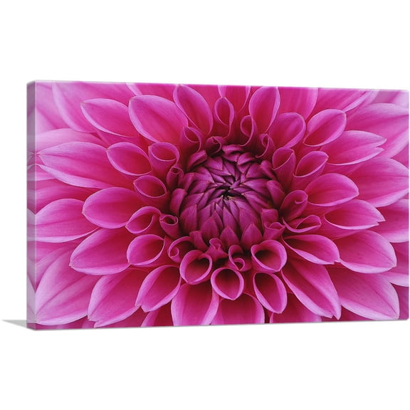ARTCANVAS Dahlia Flower Home Decor Rectangle Canvas Art Print - Size: 26" x 18" (0.75" Deep)