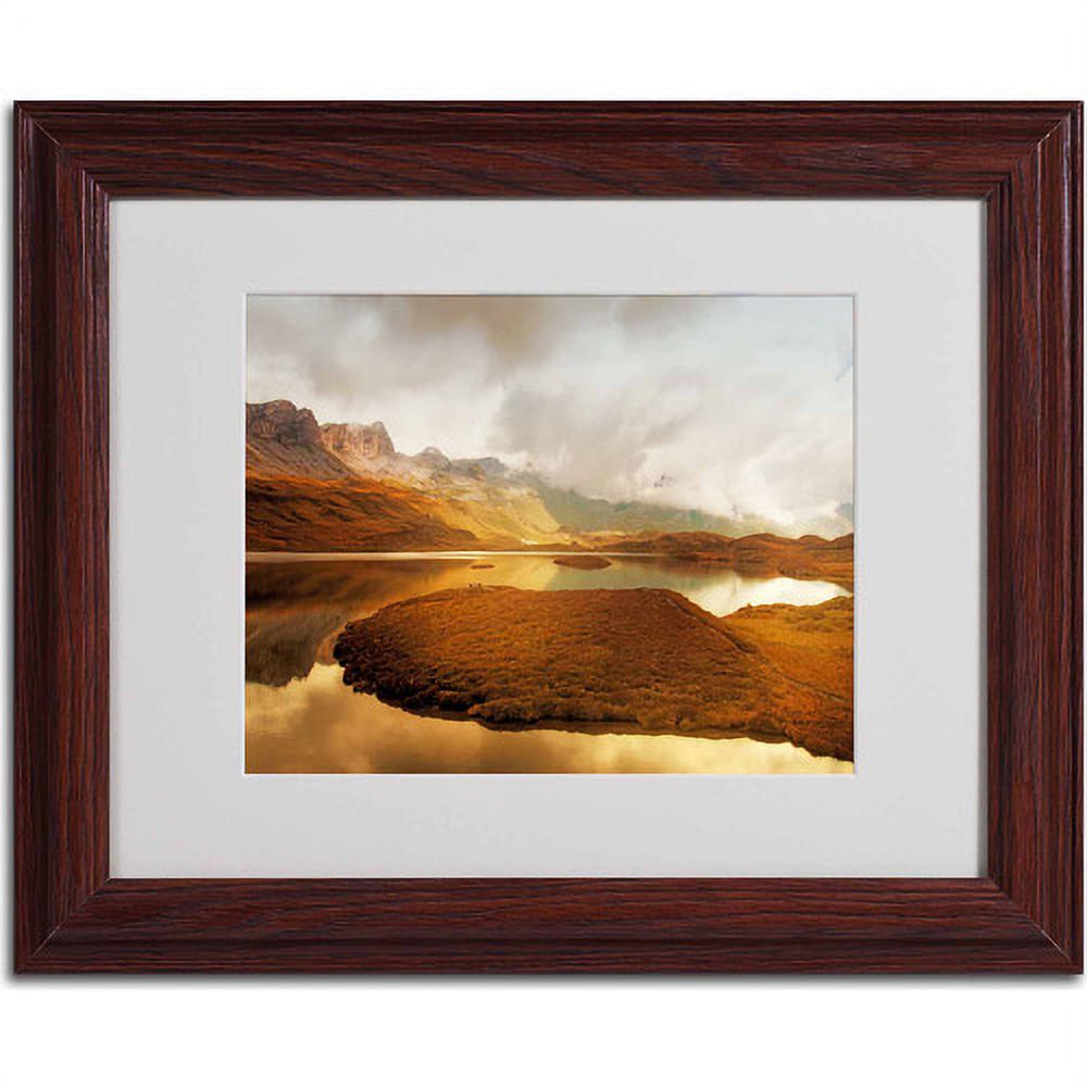 Trademark Fine Art "Shades of Gold" Canvas Art by Philippe Sainte-Laudy, Wood Frame