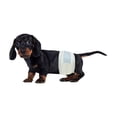 thumbnail image 1 of Pañales para perros BV para hombre, pequeños (cintura de 30 a 48 cm), superabsorbentes 50, 1 of 7