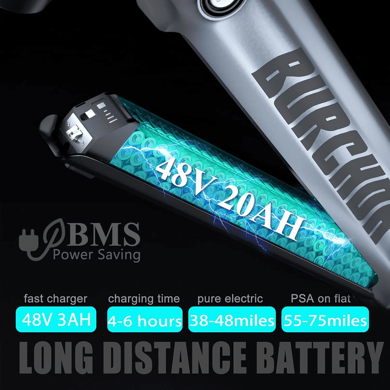 ITSTANDS Electric Bike Removable Lithium Battery,UL2849 48V 20Ah for RX80 ebike Burchda