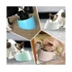 thumbnail image 5 of 15 Cuenco Inclinado Para Perros Y Gatos, Cuenco Bulldog En Ángulo Inclinado, 5 of 5