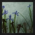 thumbnail image 2 of Metaverse R870473-0120000-AEAAAAEAN4 13.25 x 13.25 in. Blue Irises II Framed Wall Art by Patricia Pinto, 2 of 2