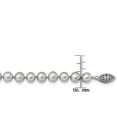 thumbnail image 4 of Primal Silver Sterling Silver Rhodium-plated 7-8mm Grey Freshwater Cultured Pearl Bracelet, 4 of 6