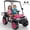 Pink, variant on Kids Golf Cart, 24 Volt Ride on Cars, 4WD 2 Seater Electric Cars with Remote Control, Ride on Truck for Big Kids Ages 3-8, With Detachable Awning & Large Storage, 3 Speeds, Music, LED Lights, Blue