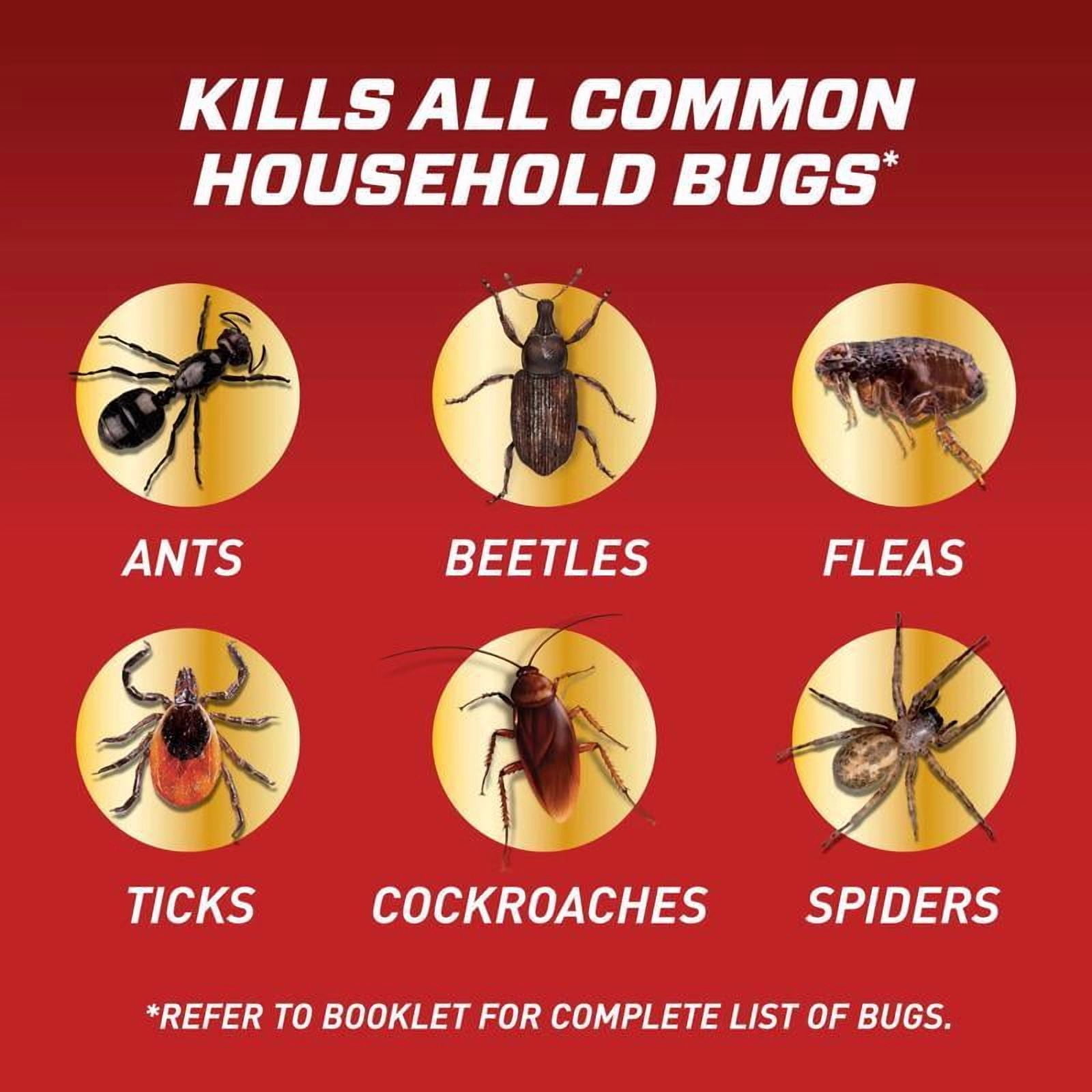 Ortho Home Defense Insect Killer Concentrate - Indoor/Perimeter Treatment - 32 Oz.