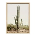 thumbnail image 3 of Kate and Laurel Sylvie Sunrise Cactus Framed Canvas Wall Art by Amy Peterson Art Studio, 18x24 Natural, Modern Botanical Cactus Plant Art for Wall, 3 of 7