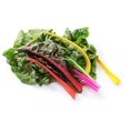 thumbnail image 2 of Sherwood's Seeds 20 Bright Lights Swiss Chard Beet Tops Heirloom Plant Seeds, 2 of 2
