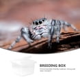 thumbnail image 2 of Clear Reptile Breeding Box Plastic Lizard Feeding Container Practical Pet Feeding Solution, 2 of 8