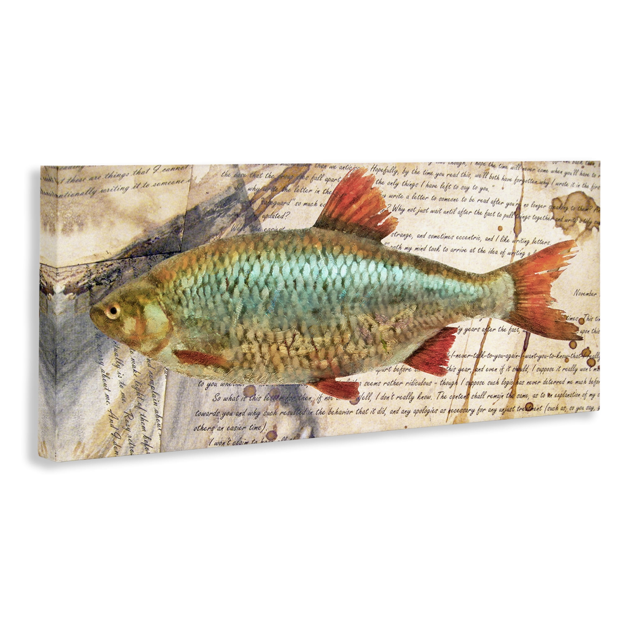 Stupell Industries Vintage Pages & Fish Animals & Insects Painting Gallery Wrapped Canvas Art Print Wall Art, 40 x 17