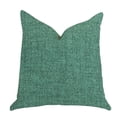 thumbnail image 1 of Plutus PBRA1402-2424-DP Coussin de Luxe en Graines de Gazon Vert, 24 x 24 Po., 1 of 1
