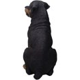 thumbnail image 2 of Ebros Gift Grande Statue en Résine de Chien Rottweiler 20.75 Pouces H Décor, 2 of 7