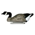 thumbnail image 4 of Dakota Decoy X-Treme Floater Canada Goose Decoy 6PK, 4 of 5