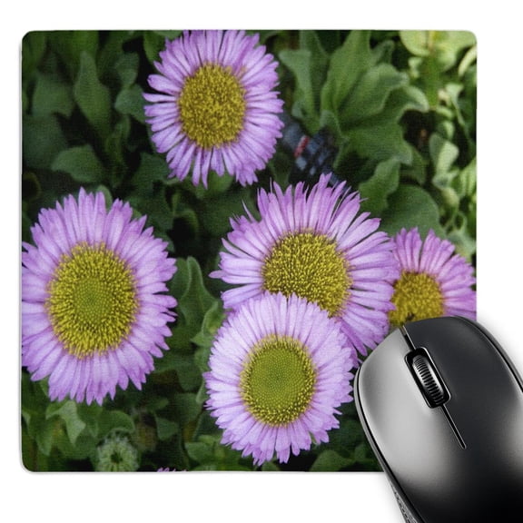 3dRose, Erigeron Flowers, MousePad