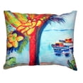 thumbnail image 3 of Betsy Drake NC440 18 x 18 in. Cocoa Nuts & Boats No Cord Pillow, 3 of 3
