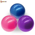 thumbnail image 3 of Spencer Mini Exercise Barre Ball, 10 Inch Small Barre Pilates Ball & Gymnic Over Ball for for Yoga, Exercise, Balance, Core Training & Physical Therapy, 3 of 8