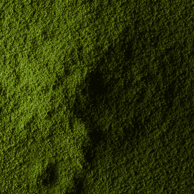 CHAMELLIA Green Tea Matcha Latte (17.7oz / 500g)