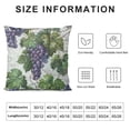 thumbnail image 6 of Acheng Grapes Leaves Throw Pillow Covers Square Cushion Case Modern Home Decor Pillow Covers Set of 2 Decorative Pillowcase for Sofa Couch Bed Bedroom Living Room Pillow Cases White, 6 of 6