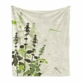 thumbnail image 1 of Dragonfly Soft Flannel Fleece Throw Blanket, Nature Plants Grass with Wildflowers with Paintbrush Effects Print, Cozy Plush for Indoor and Outdoor Use, 70" x 90", Pale Green Cream, by Ambesonne, 1 of 6